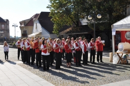 Princezny - mažoretky z Hluboké nad Vltavou - 2010 09. 18. - Slavnosti vína