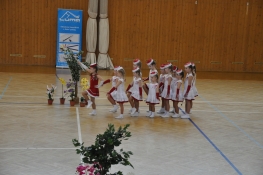 Princezny - mažoretky z Hluboké nad Vltavou - 2011 03. 05. - Podhostýnský pohár 2011