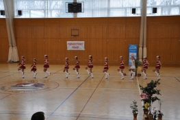 Princezny - mažoretky z Hluboké nad Vltavou - 2011 03. 05. - Podhostýnský pohár 2011