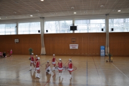 Princezny - mažoretky z Hluboké nad Vltavou - 2011 03. 05. - Podhostýnský pohár 2011