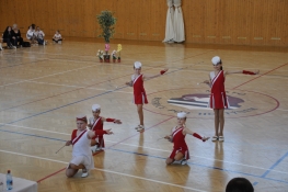 Princezny - mažoretky z Hluboké nad Vltavou - 2011 03. 05. - Podhostýnský pohár 2011