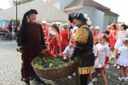 Princezny - mažoretky z Hluboké nad Vltavou - 2011 09. 17. - Slavnosti vína Hluboká nad Vltavou